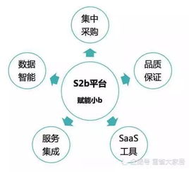 石家莊雪雀大家居鴻圖開業 家居賦能雪雀集團再下一城