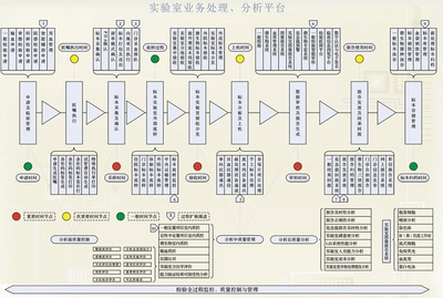 靈鵲LIS解決方案